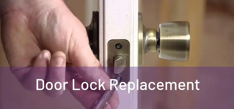  Door Lock Replacement 